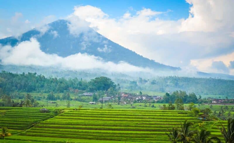 Rice Terraces near Mount Batur trekking tour