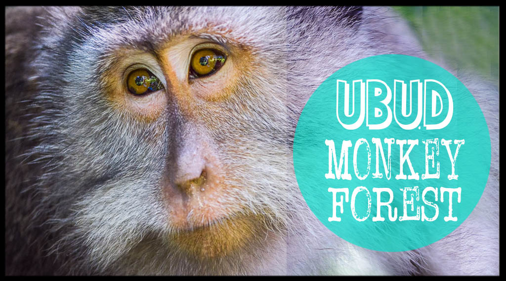 Ubud Monkey Forest Bali featured image