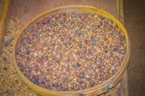 fresh roasted kopi luwak coffee beans