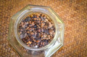 roasted kopi luwak coffee beans
