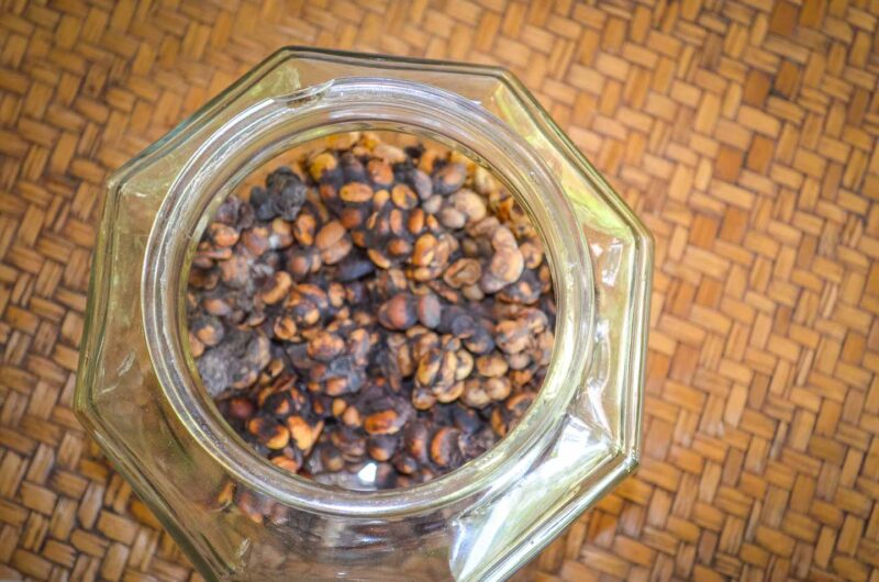 fresh kopi luwak coffee beans