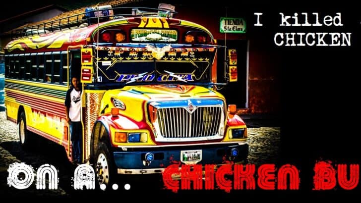 I think I killed a chicken on a chicken bus