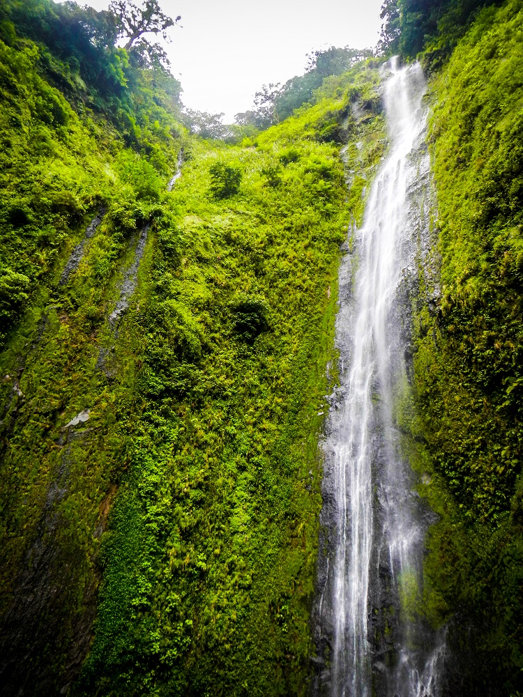 Ometepe waterfall-8