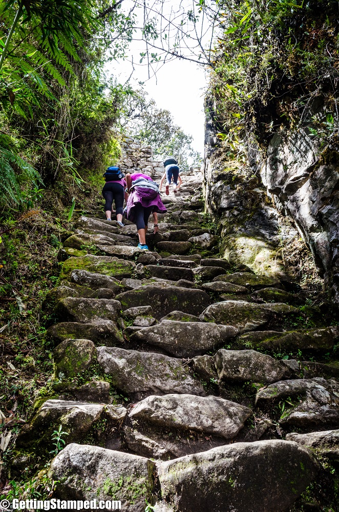 Machu Picchu - Short Inca Trail - Day 1-13
