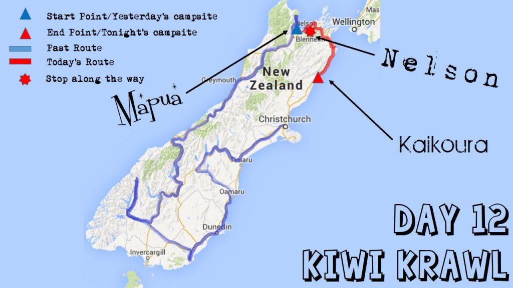 kiwi krawl map day 12