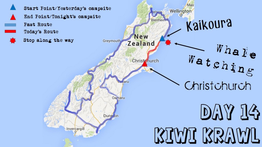 kiwi krawl map day 14