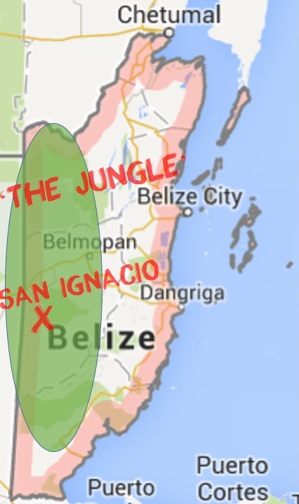 Belize Details maps - Jungle