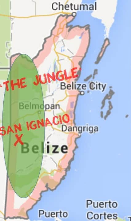 Belize Details maps - Jungle