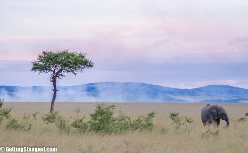Kenya Safari Mara Masai Day 1 22