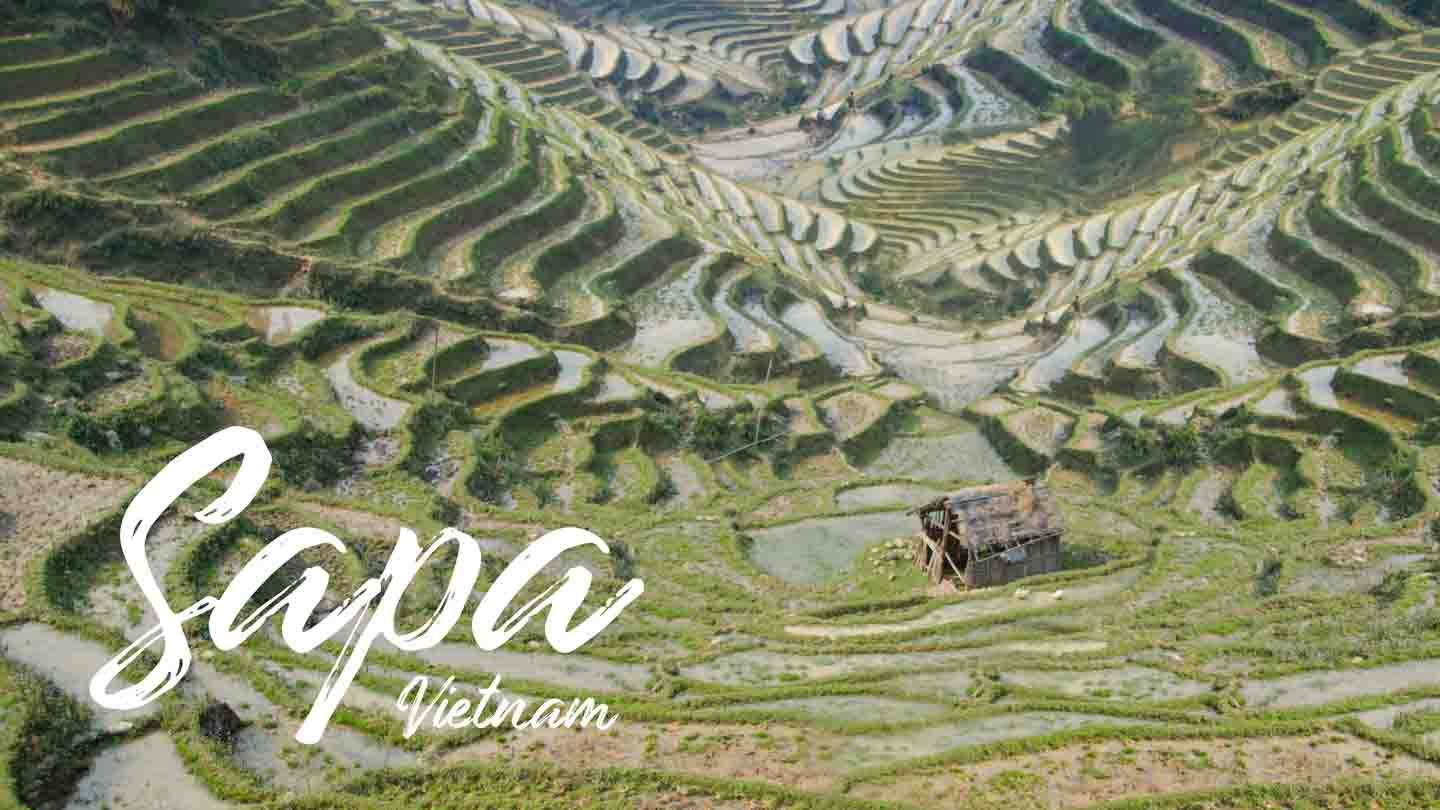 Sapa-Vietnam-Featured-image-Rice-Terrace-Paddy.jpg