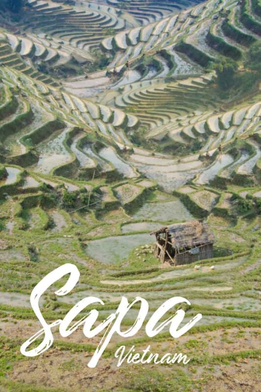 pinterest pin for Sapa Vietnam Travel Guide - Terraced Rice Paddies in Sapa Villages on a trekking tour