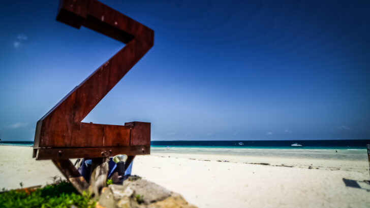 A Walk on the Beaches of Zanzibar