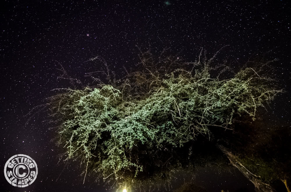 Botswana - Night Sky Star Photos - Elephant Sands-27