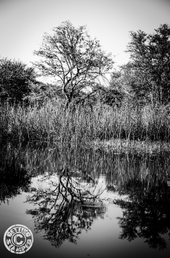 Botswana okavango delta reflections-11