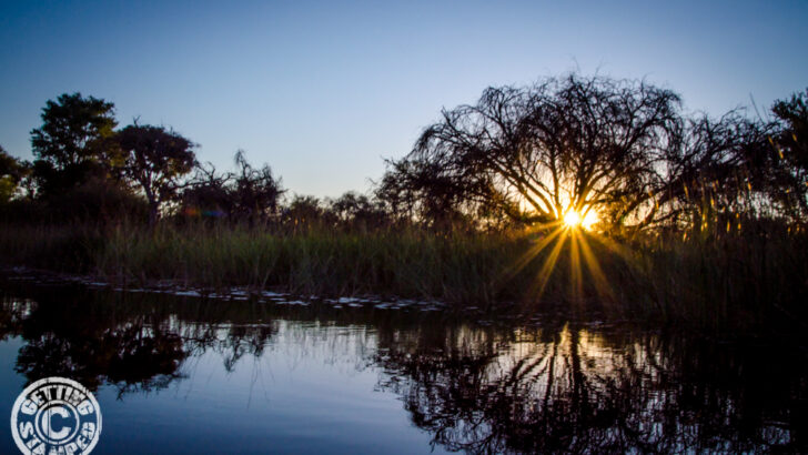 Reflections of the Okavango Delta