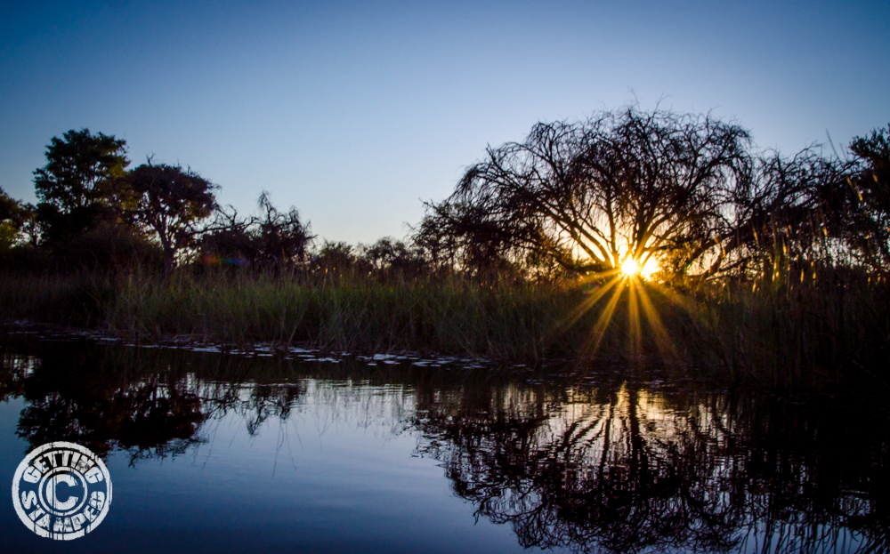 Botswana okavango delta sunset burst-5