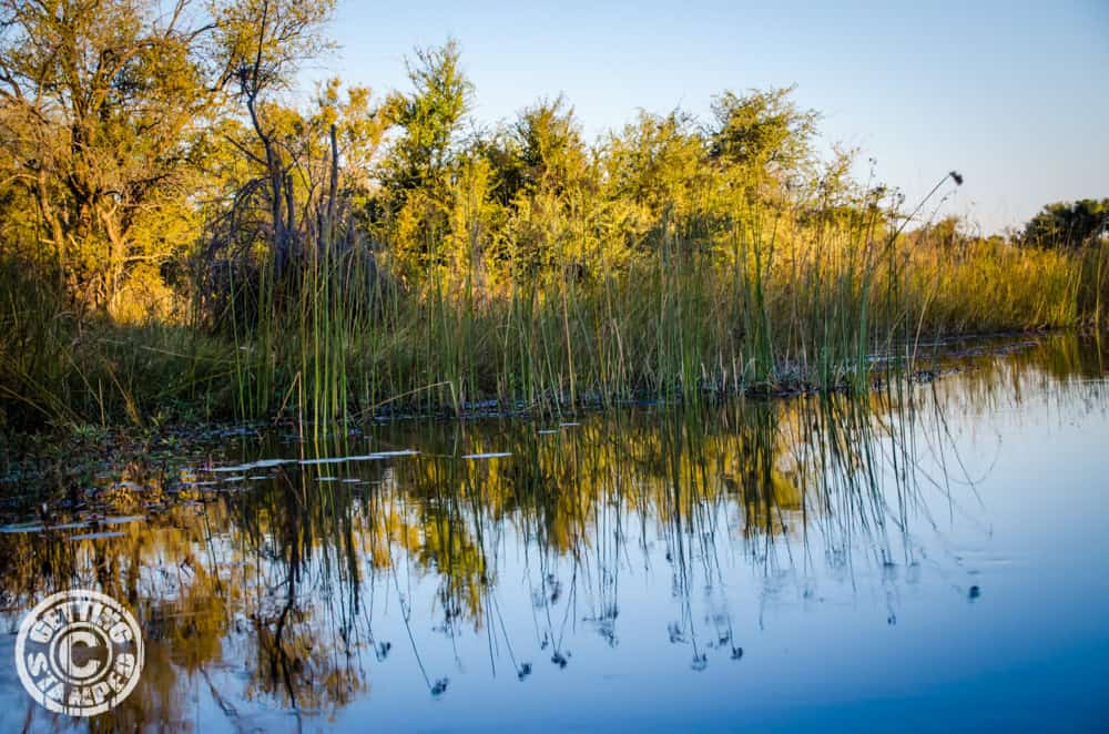 Botswana okavango delta trip-25