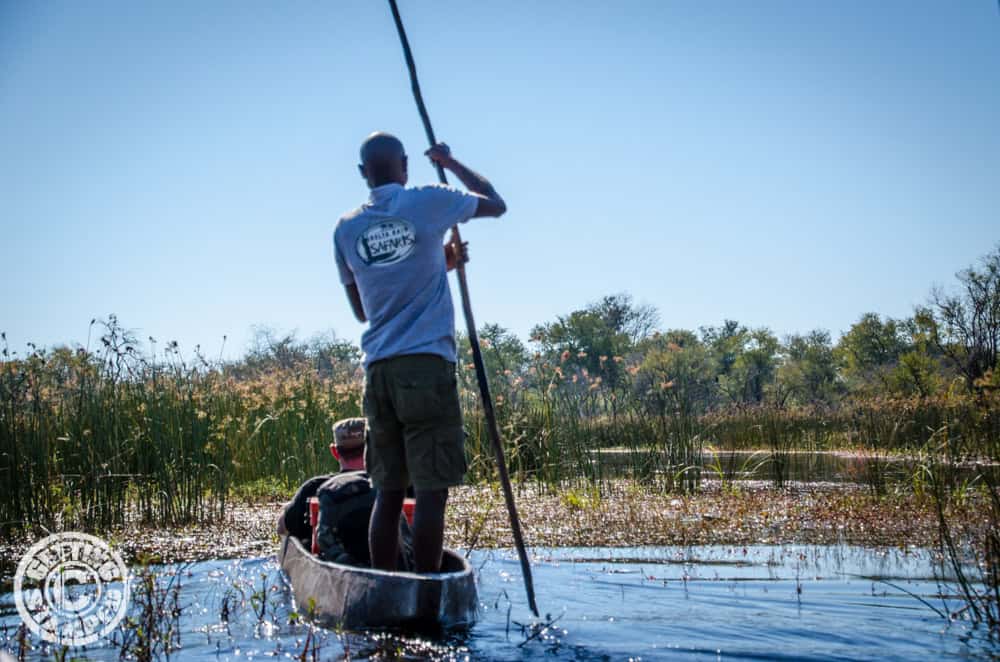 Botswana okavango delta trip-5