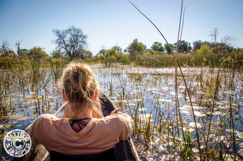 Botswana okavango delta trip-8