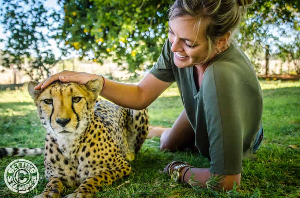 Namibia Cheetah farm RTW african safari-12