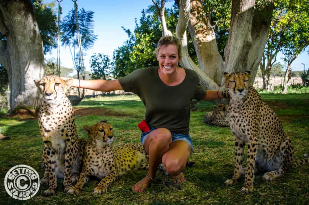 Namibia Cheetah farm RTW african safari-8