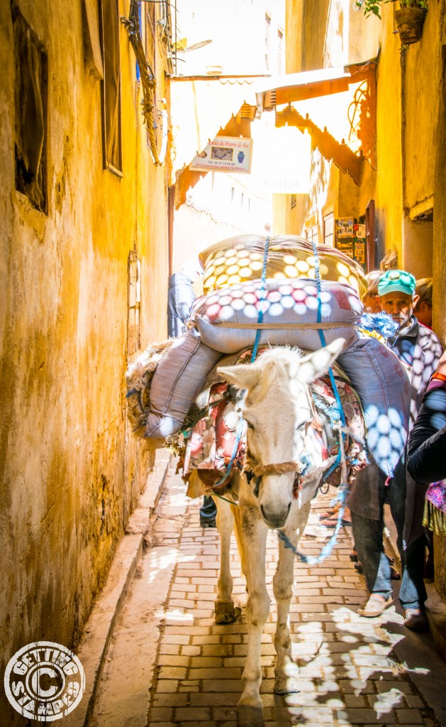Drunk on Colour Tour - Trip Journal - Trip Review - Morocco - TourRadar-13