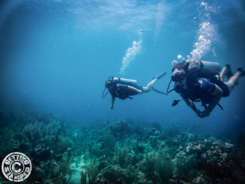 Honduras Copan and Diving Utila 2