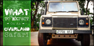 What to expect on an overland safari - Featured Image