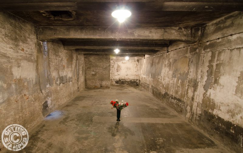 Auschwitz - Single vase of flowers-9
