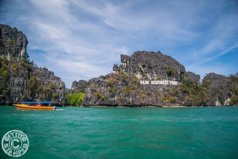 Mangrove Tour - One week in Langkawi