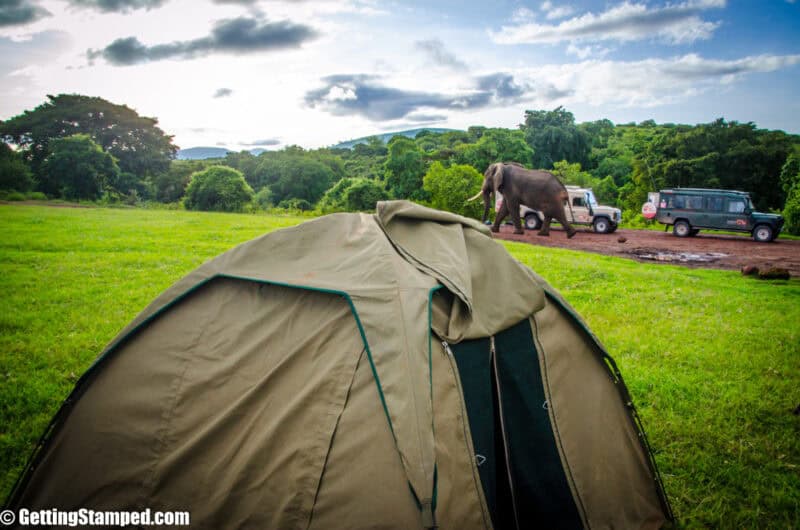 Serengeti-Day-6-Small-Tanzania-157