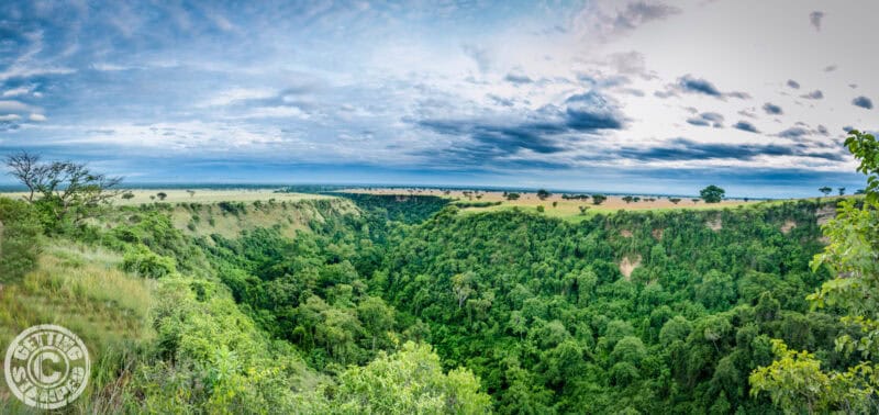 Chimp Trekking Gorge - Panorama