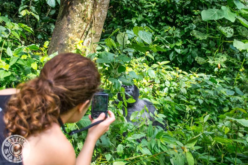 Gorilla Trekking Uganda-6