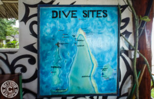 dive sites in Zanzibar diving