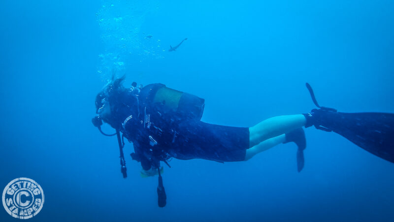 Diving in Zanzibar-5