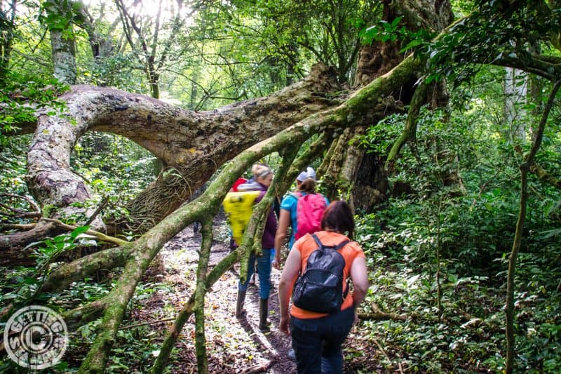 Uganda - Africa - Hiking Tops-3