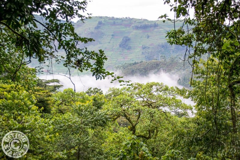 Uganda - Africa - Landscape Tops