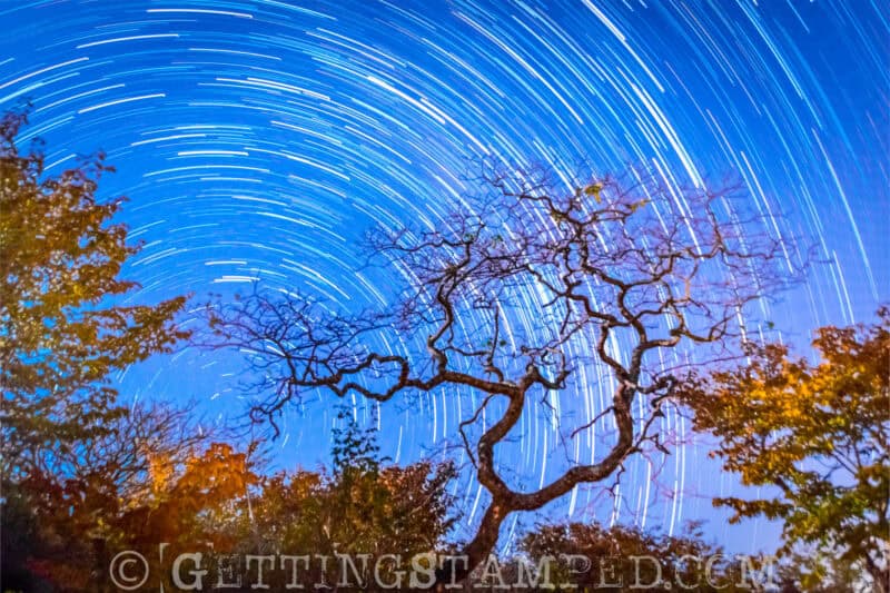 Vic Falls Stanley Lodge Star Trails (1st) - V2sm final