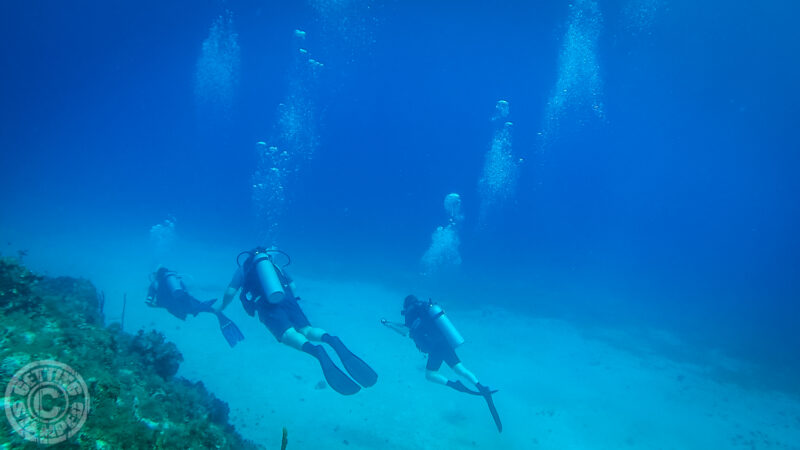 Jamaica Diving-3