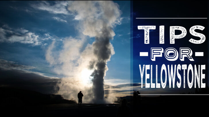Tips for Visiting Yellowstone National Park