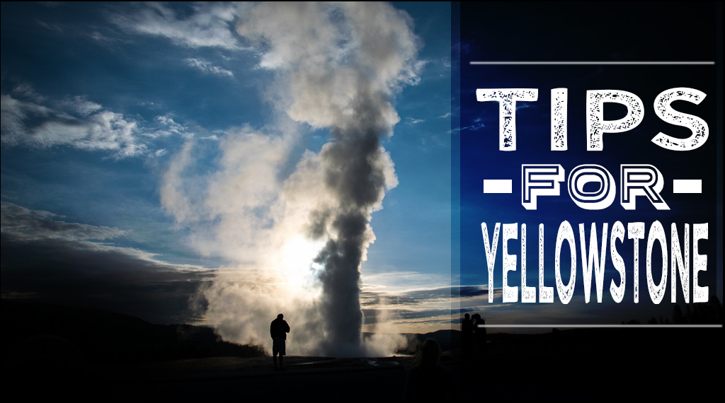 Tips for Visiting Yellowstone National Park