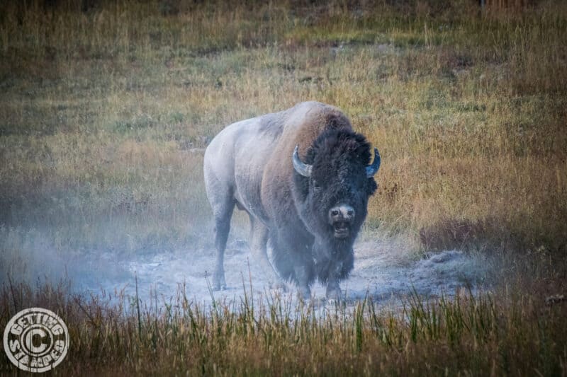 Yellowstone-3