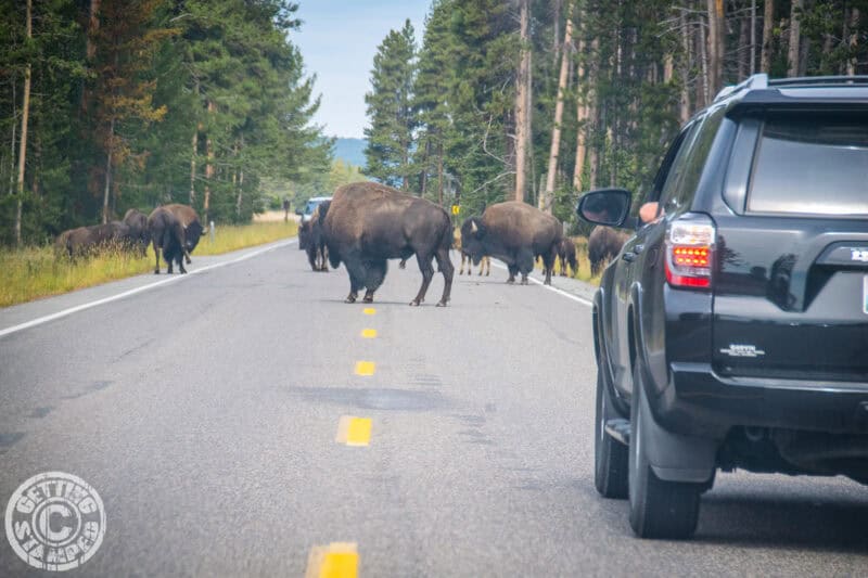 Yellowstone