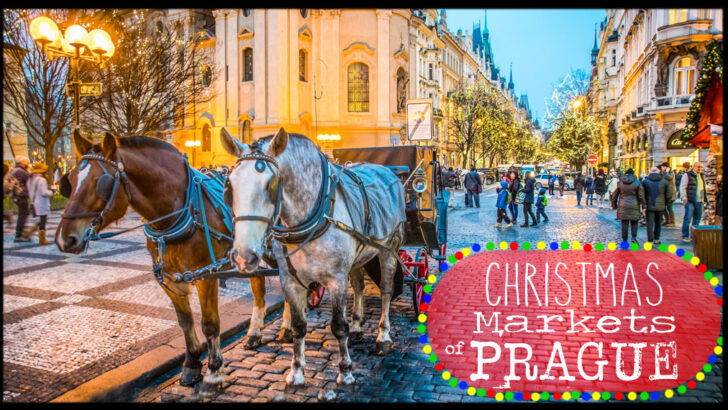 Top 6 Christmas Markets In Prague