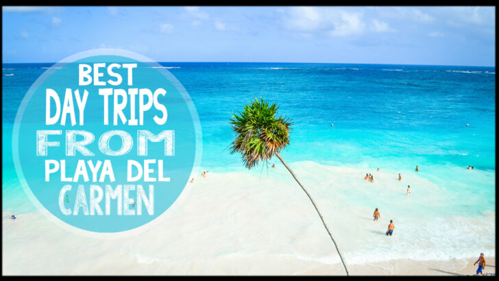 Day Trips From Playa del Carmen Mexico