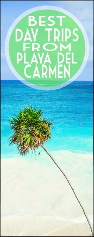 playa del carmen day trips tulum beach palm tree pin