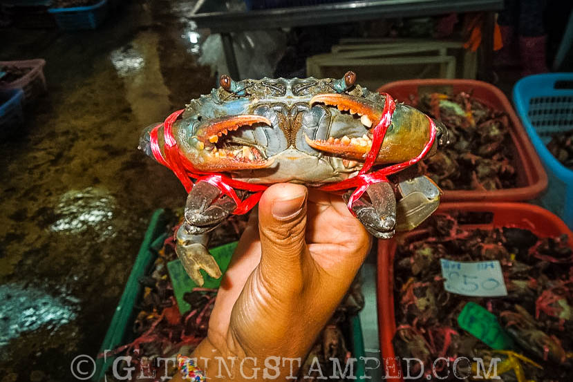 Train Market Bangkok - fresh crab 