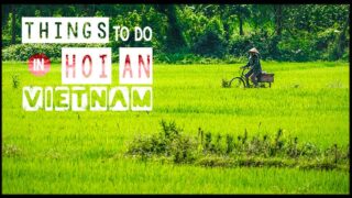 Things to do in Hoi an Vietnam man riding bike in green rice field
