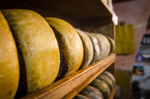 Things to do in Pienza Italy-Pecorino Cheese