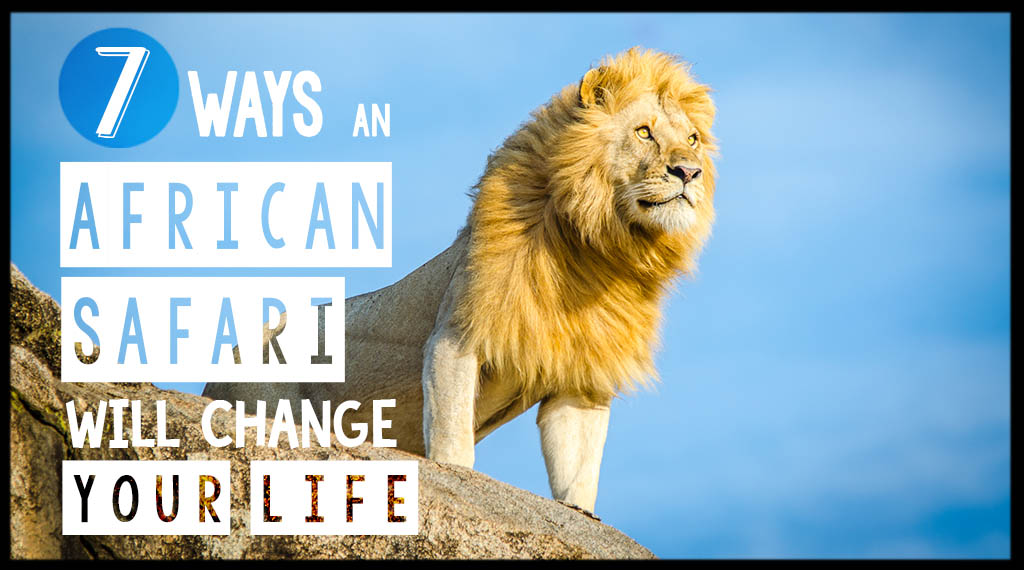 7 Ways Overland Africa Safari Will Change Your Life